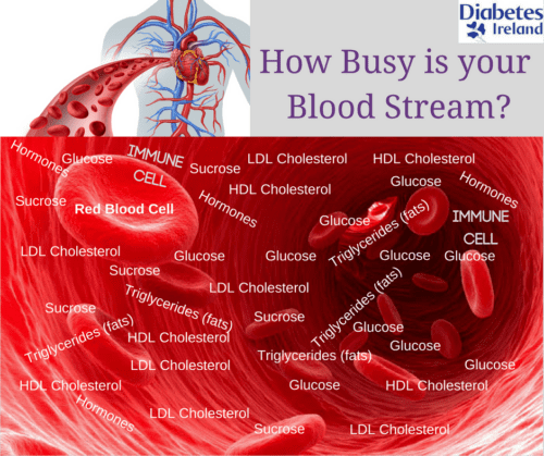 how-busy-is-your-blood-stream-diabetes-ireland-diabetes-ireland