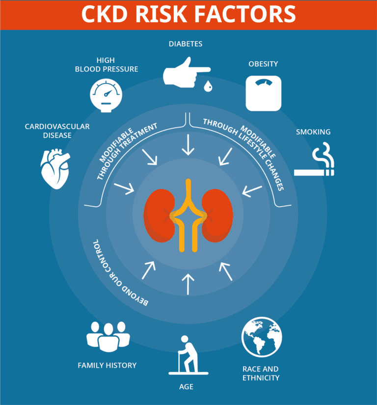 Diabetes And Kidney Disease - Diabetes Ireland : Diabetes Ireland